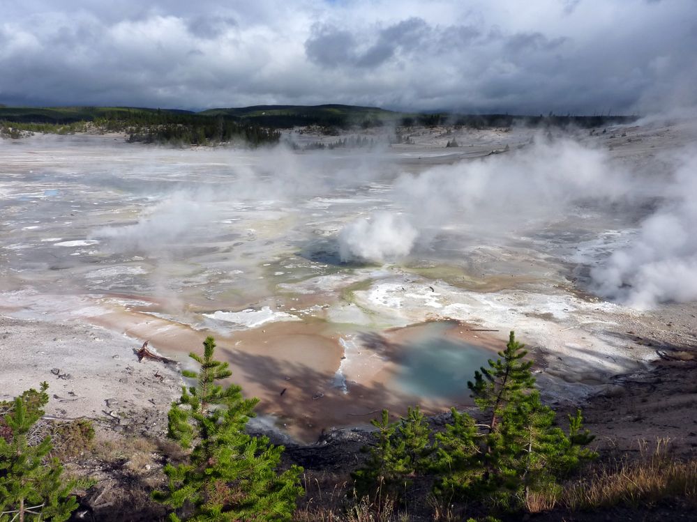 Yellowstone Norris Geyser (126).JPG